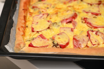 freshly baked pizza with cheese, tomatoes and chicken fillet 7