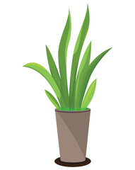 green plant in brawn vase vector design