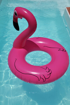 boia inflável de flamingo em piscina 