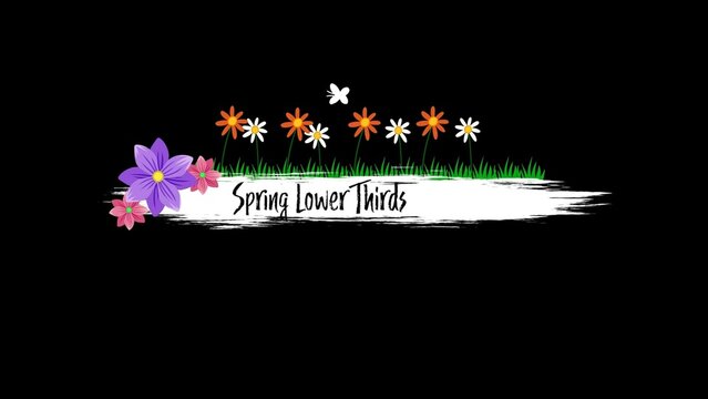 Animated Spring Flowers Scribble Lower Third
