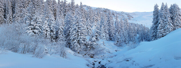 Verschneiter Winterwald in den Alpen, Zillertal, Österreich, Europa, Panorama 