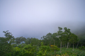 Obraz premium Lake Mashu, an endorheic crater lake formed in the caldera of a potentially active volcano in Akan Mashu National Park, Teshikaga, Kushiro Subprefecture, Hokkaido, Japan
