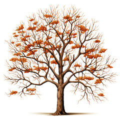  tree without leaves clipart