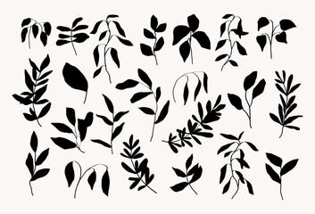 Hand drawn botanical line art design elements. Trendy ink stylized silhouettes of branches, plants and leaves.