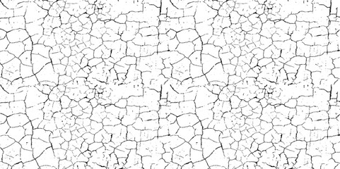 The cracks texture white and black. Vector background.