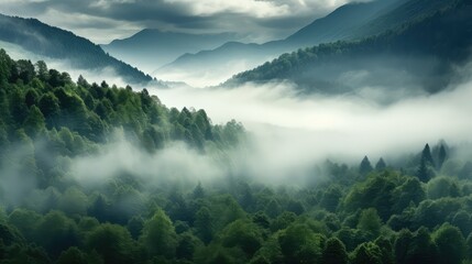 tree valley wood fog landscape illustration mountain misty, gy mist, morning travel tree valley wood fog landscape