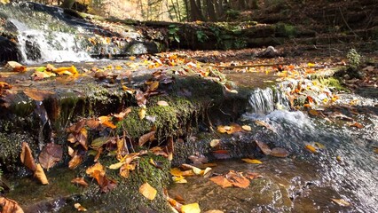 Peaceful creek with waterfalls flowing over rock and stone formations in remote wilderness during Autumn Fall colors in leafs in a quiet moment of zen in Pennsylvania forest in Nature