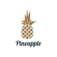 Vector Pineapple Fruit Logo Template. Pineapple Fruit Creative Logo Icon.