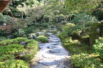 A Japanese garden in autumn : Shuugakuin-rikyu Garden in Kyoto City in Japan 秋の日本庭園：日本の京都市にある修学院離宮