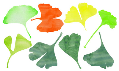 Watercolor ginkgo leaves. Watercolor trendy greenery Ginkgo biloba Leaves.