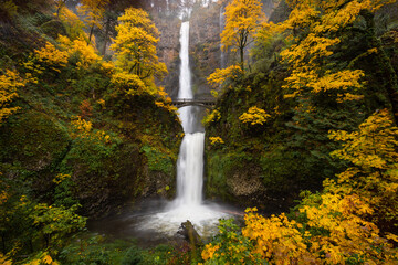 Beautiful waterfall landscape of Multnomah Falls during peak autumn foliage color, Columbia River Gorge, Oregon