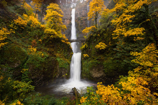 Beautiful waterfall landscape of Multnomah Falls during peak autumn foliage color, Columbia River Gorge, Oregon - Powered by Adobe