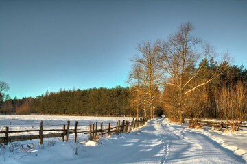 Landscape winter snowy fields in Poland, Europe on sunny day in winter, blue sky