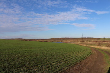 A dirt road through a field