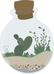 Terrarium plant illustration