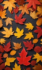 Fototapeta premium Isolated Autumn Leaves Background.