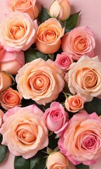Background With Peach And Pink Color Roses And Empty Space.
