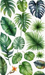 Collection Of Isolated Jungle Tropical Leaves In Watercolor.