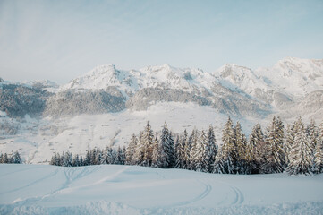 Fototapeta na wymiar Winter landscape in the Swiss Alps, Toggenburg, Switzerland