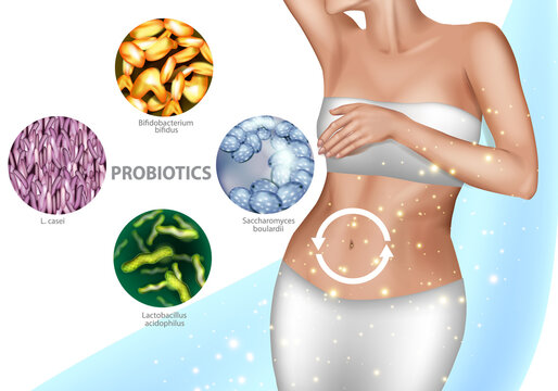 Intestinal microflora. Healthy digestion, good human microbiota. Vector illustration of a girl's belly and probiotics or prebiotic meds advertising.
