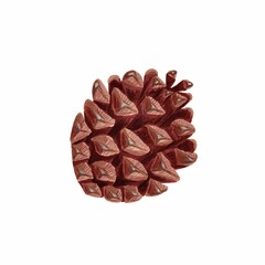 Brown pinecone, realistic hand drawn marker illustration in watercolor technique. For postcards, greeting cards, stickers, magnets, scrapbooking, any seasonal craft and design ideas