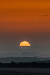 sunset in the fields