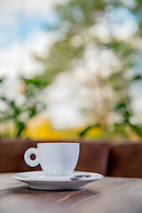 cup of coffe standing on plate on wooden table, colourful trees in the background