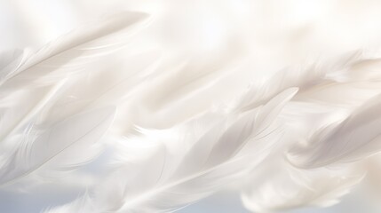 Obraz premium White bird wing, soft feathers closeup, high detail. Abstract light background. Feathers texture. Photo for design