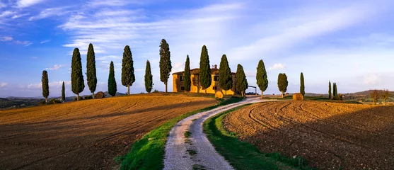 Poster Italy, romantic Tuscany scenery with traditional cypresses and rolling hills. famous region Val d'orcia. © Freesurf