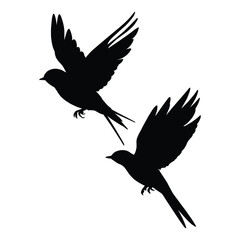 Flying Swallow Silhouette on White Background