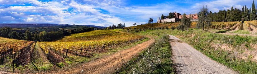 Fototapeta na wymiar Italy, scenery of Tuscany. panoramic view of beautiful medieval castle Castello di Brolio in Chianti region surrounded by golden autumn vineyards