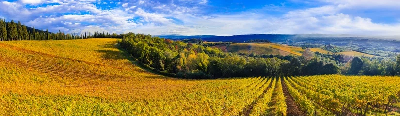 Fotobehang Italy scenery. golden autumn. Traditional countryside and landscapes of beautiful Tuscany. vineyards and cypresses. © Freesurf