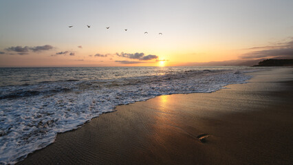 Fototapeta na wymiar Sunset Ocean Sea Birds Beautiful Nature Beach Sunrise Seascape Landscape 16.9 High Resolution