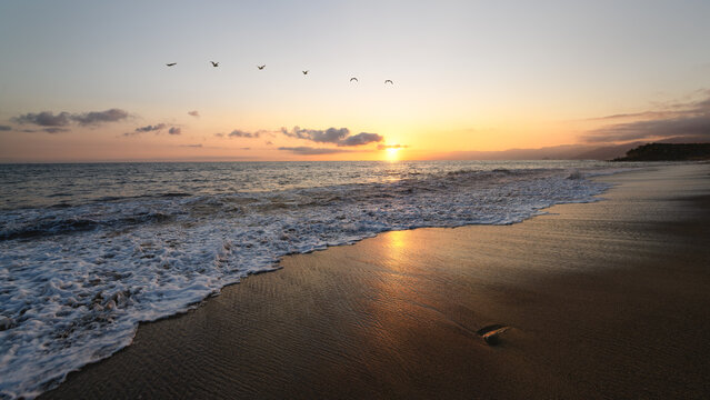 Sunset Ocean Sea Birds Beautiful Nature Beach Sunrise Seascape Landscape 16.9 High Resolution