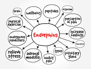 Endorphins are chemicals (hormones) your body releases when it feels pain or stress, mind map concept background