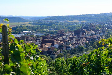 Fototapeta na wymiar Blick über einen Weinberg auf den Ort Besigheim am Neckar