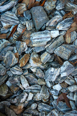 Close up of stones and leaves, top view