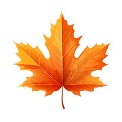 Obraz premium maple leaf flat illustration