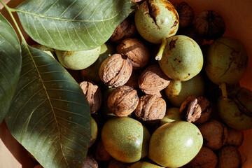 Young walnuts with leaves. Nuts with shell and walnuts in green peel. Close up.