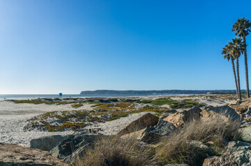 Coronado beach in San Diego