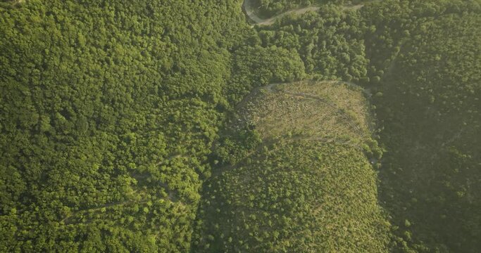 Aerial view of a mountain road crossing the forest on Mount Terminio side near Ripe della Falconara, Serino, Campania, Avellino, Italy.