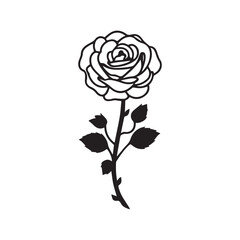 rose illustration