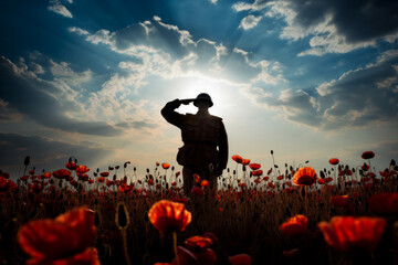 A silhouette of a military soldier standing in a field of poppies. Remembrance day - obrazy, fototapety, plakaty