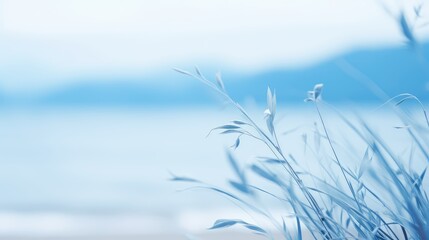 color blurry blue outdoor background illustration light city, blur abstract, modern wallpaper color blurry blue outdoor background