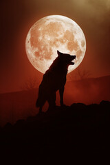 wolf silhouette in a red misty forest cliff. full moon. 