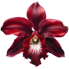Türaufkleber red orchid © Janejamin