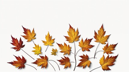 Obraz premium Background and texture patterns