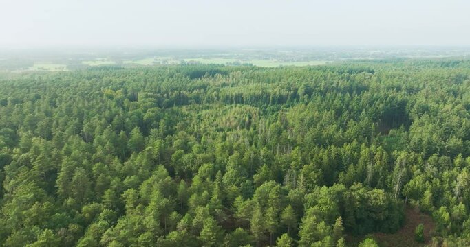 Aerial view of hilly forest Bergherbos, Beek, Montferland, Gelderland, Netherlands.