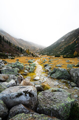 foggy road autumn austria hobbit norway
