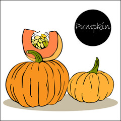 Set of two whole orange pumpkins and cut piece with seeds. Harvest season. Celebrating Halloween and Thanksgiving.